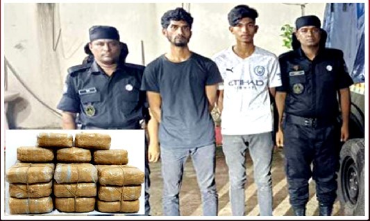 ৫০ কেজি গাঁজাসহ ২ মাদক ব্যবসায়ীকে আটক করেছে র‌্যাব-৭